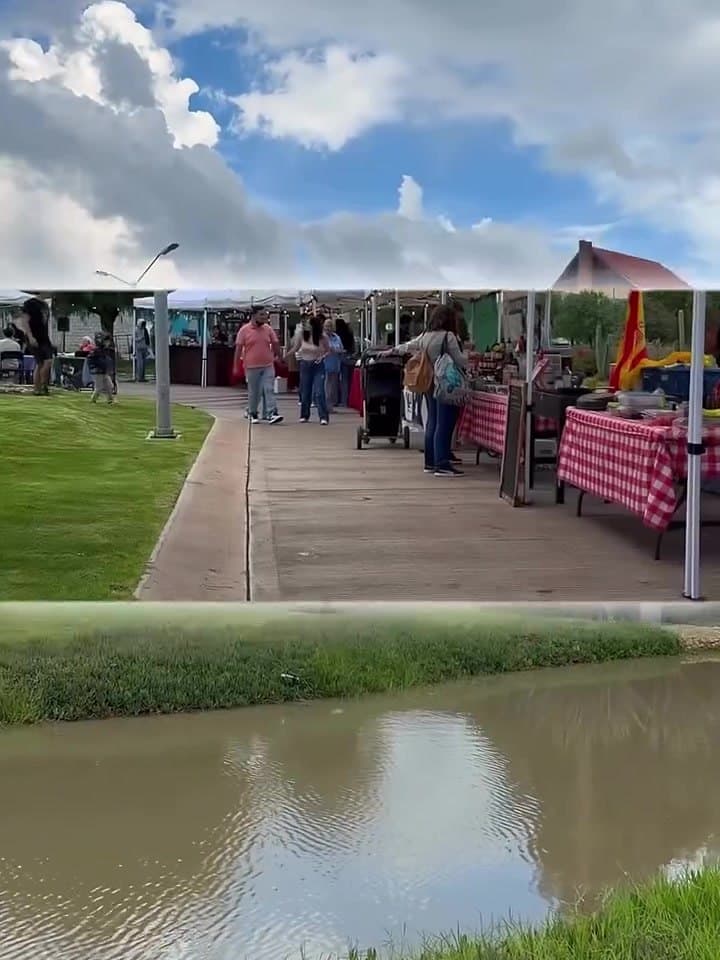 Mercado CEIBA